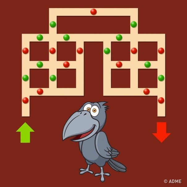 Помогите вороне добраться от зеленой стрелки до красной, чередуя красные и зеленые точки и минуя два одинаковых цвета подряд.